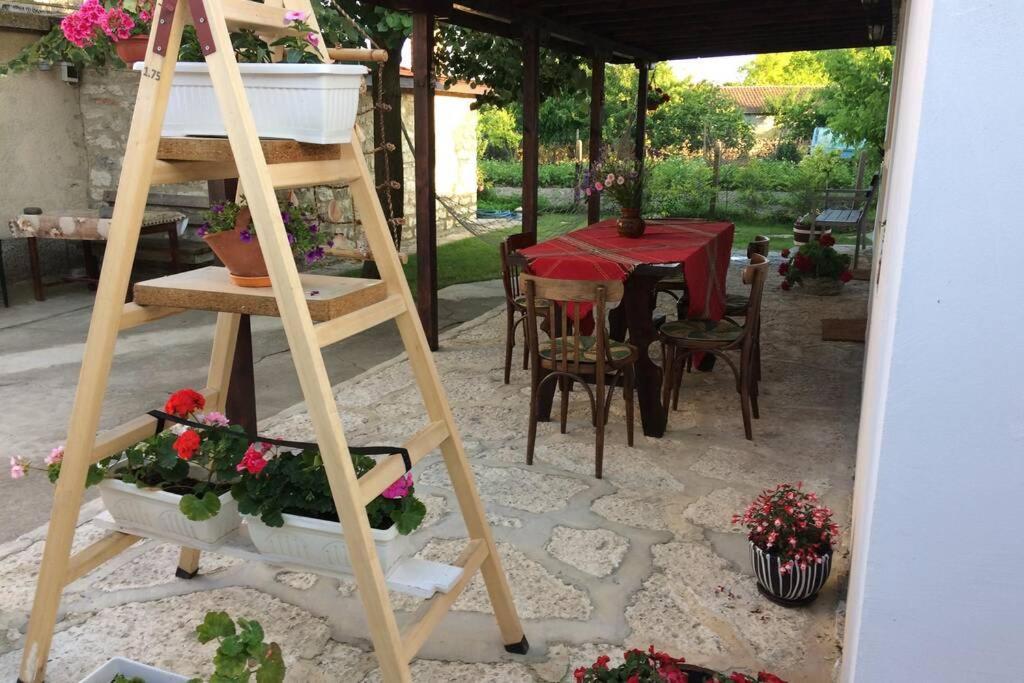 Guest House Kostadinovi Bŭlgarevo Dış mekan fotoğraf