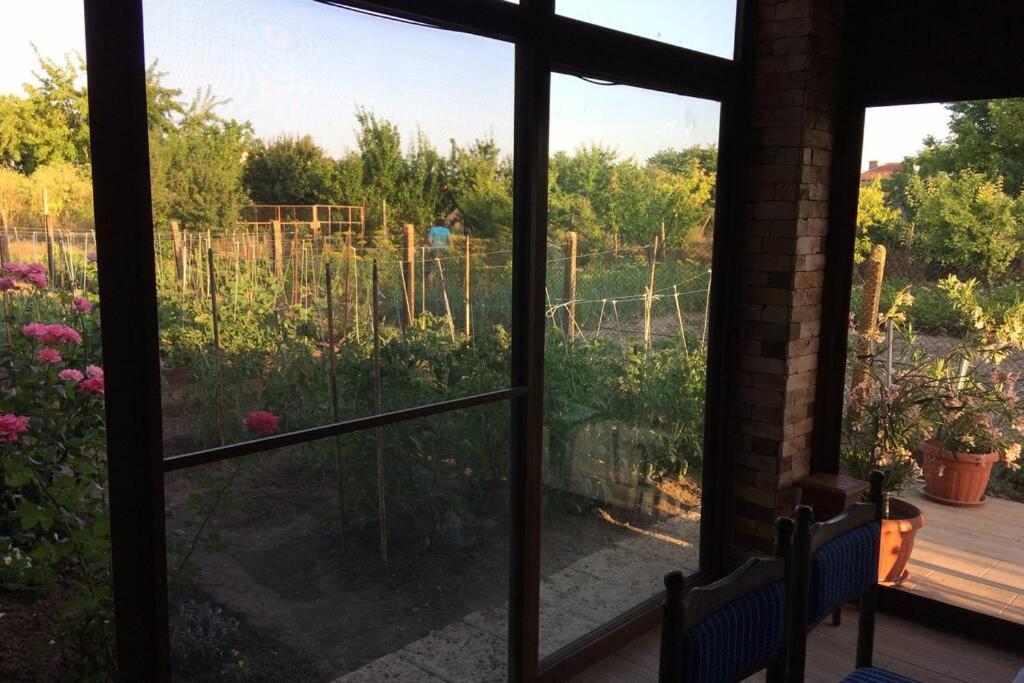 Guest House Kostadinovi Bŭlgarevo Dış mekan fotoğraf