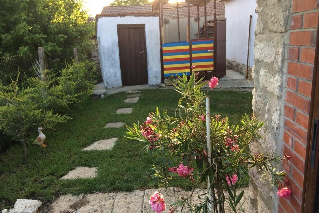 Guest House Kostadinovi Bŭlgarevo Dış mekan fotoğraf