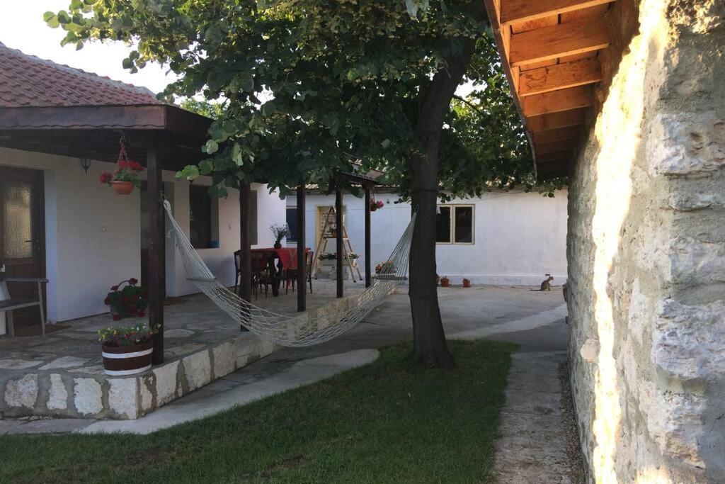 Guest House Kostadinovi Bŭlgarevo Dış mekan fotoğraf