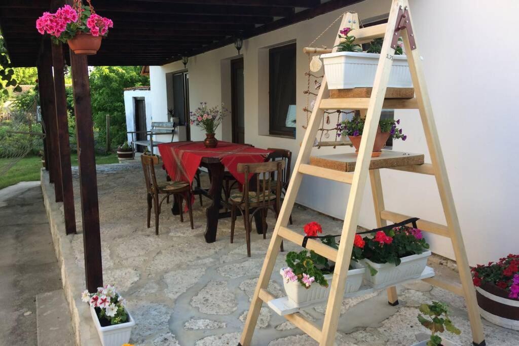 Guest House Kostadinovi Bŭlgarevo Dış mekan fotoğraf